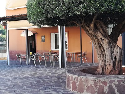 Terraza de la cafetería baix la torre. Plaza del olivo.